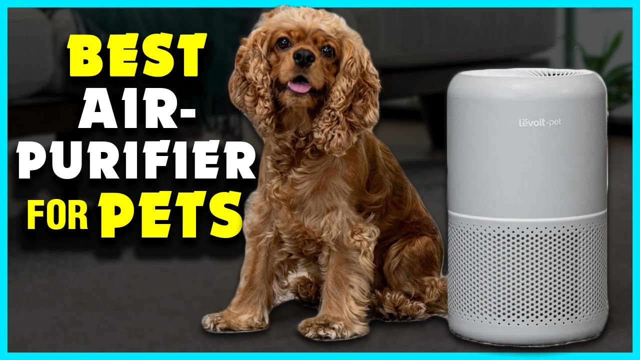 Best Air Purifier For Pets In 2025 -Top 5 Picks