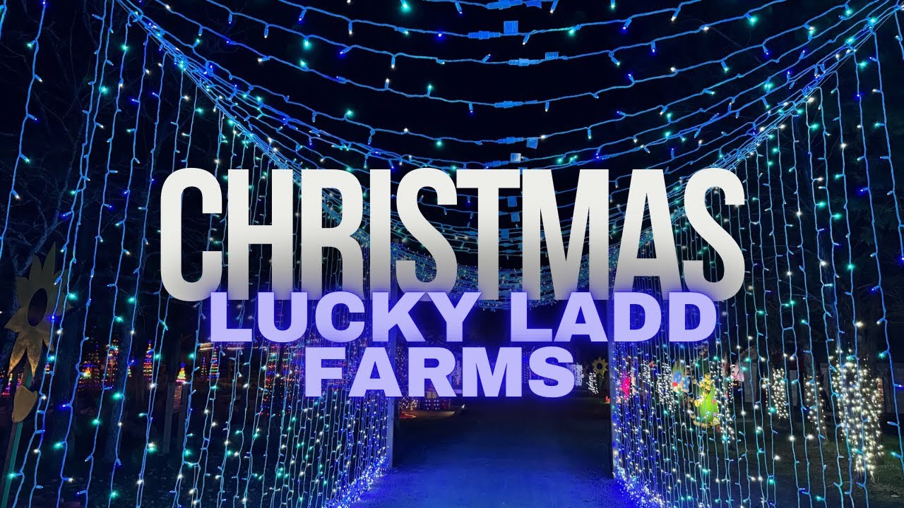 Amazing Lucky Ladd Farms Christmas Display
