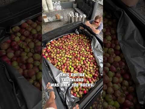 How to Make Hard Cider