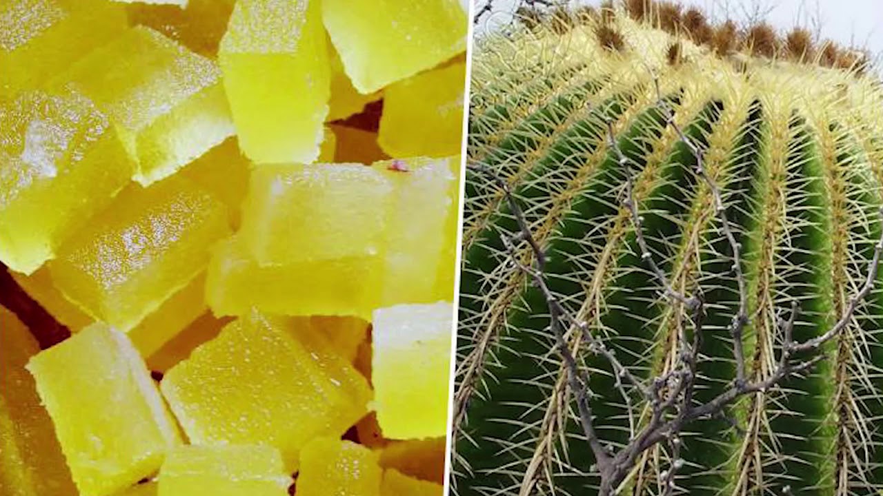 Acitrón el sabor de lo prohibido | Dulce Mexicano