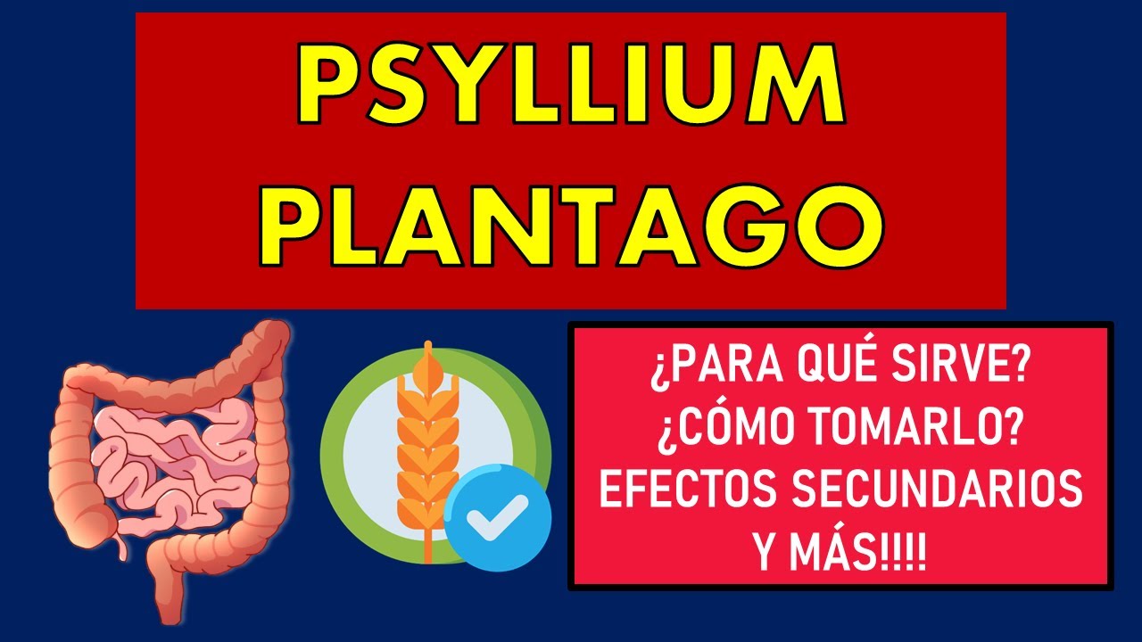 🔴 PSYLLIUM PLANTAGO | PARA QUÉ SIRVE, EFECTOS SECUNDARIOS, MECANISMO DE ACCIÓN Y CONTRAINDICACIONES