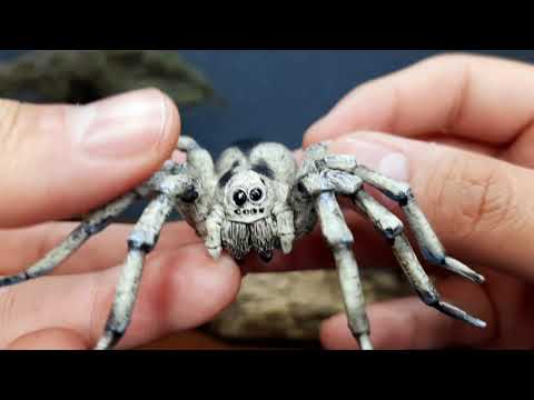 Araña Lobo papo review.