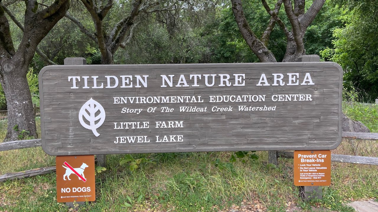Tilden Regional Park - Orinda California