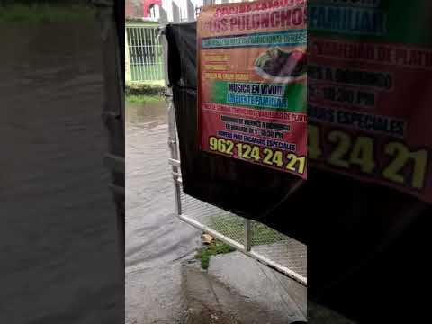El Clima en Tapachula en Tiempo de Lluvias VOL 2