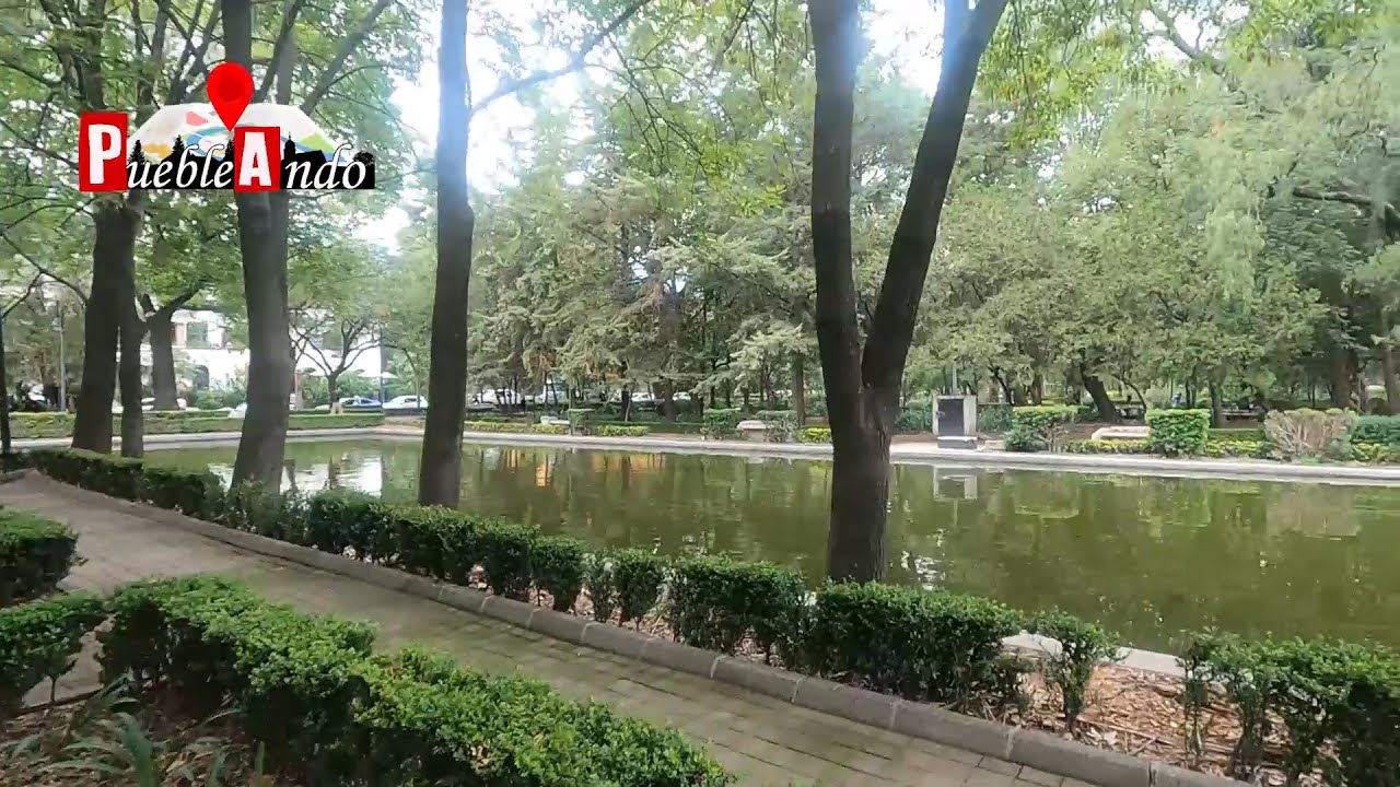 🌳 El Parque Lincoln está lleno de sorpresas en Polanco 📸🏞️