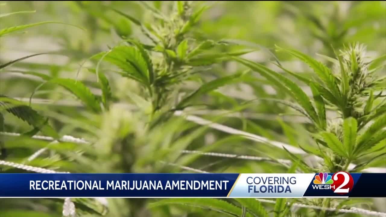 Recreational marijuana legalization getting closer to Florida ballot