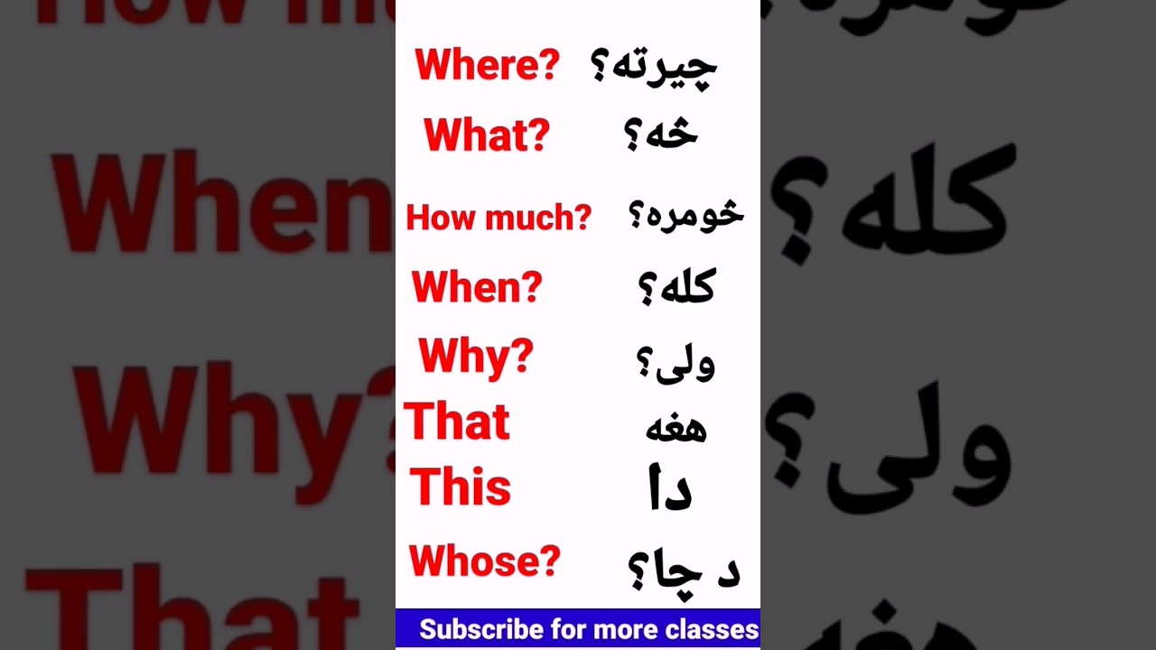 Learn All WH questions in Pashto - English to Pashto Learning