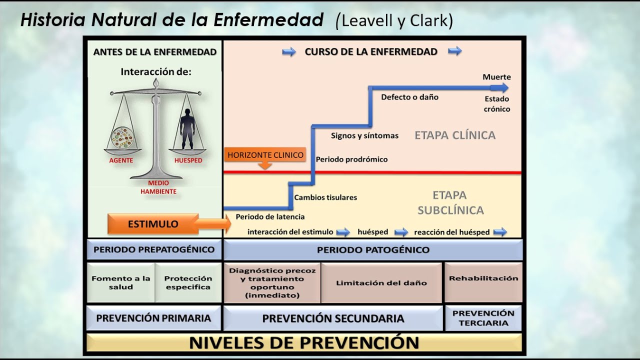 Historia Natural de la Enfermedad