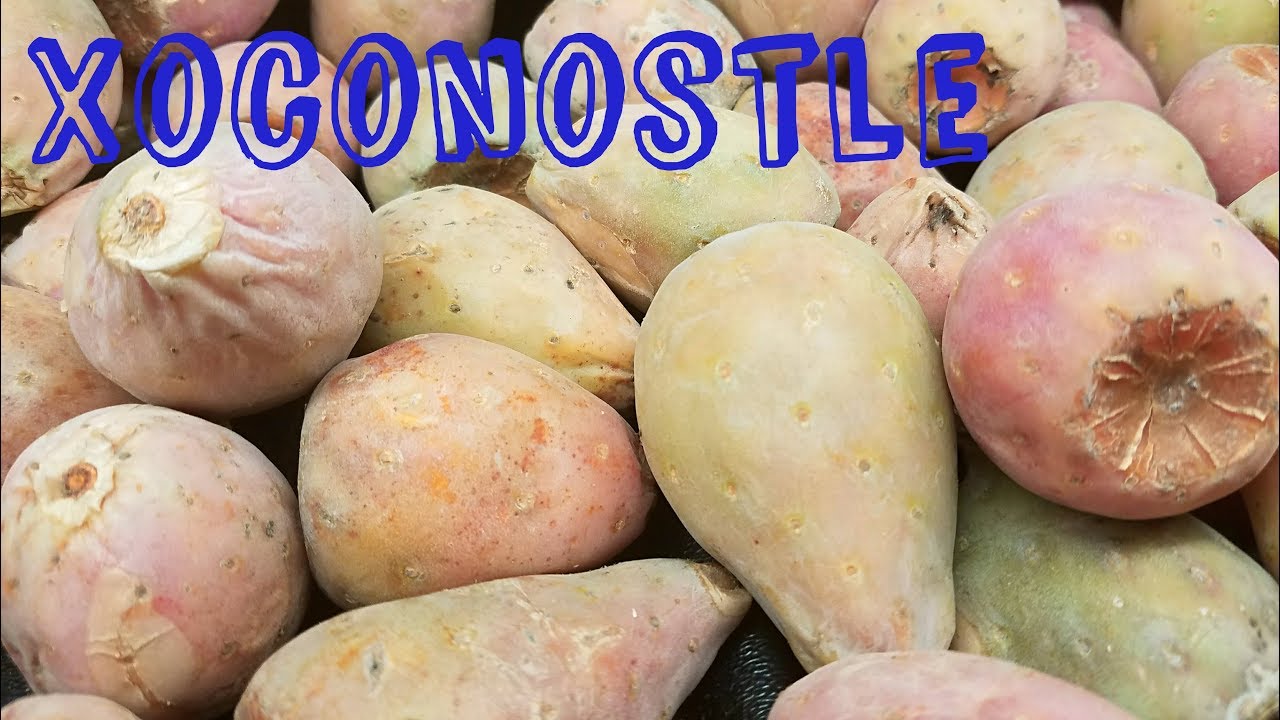 Xoconostle Review and Salsa Recipe - Weird Fruit Explorer Ep. 234