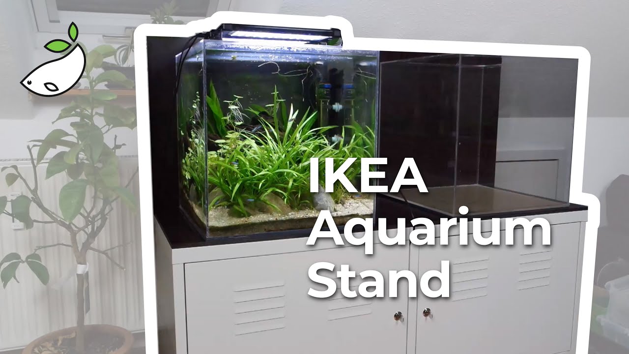 New IKEA Aquarium Stand and Tank Maintenance