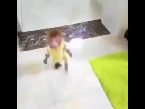 Wtf gay little monkey
