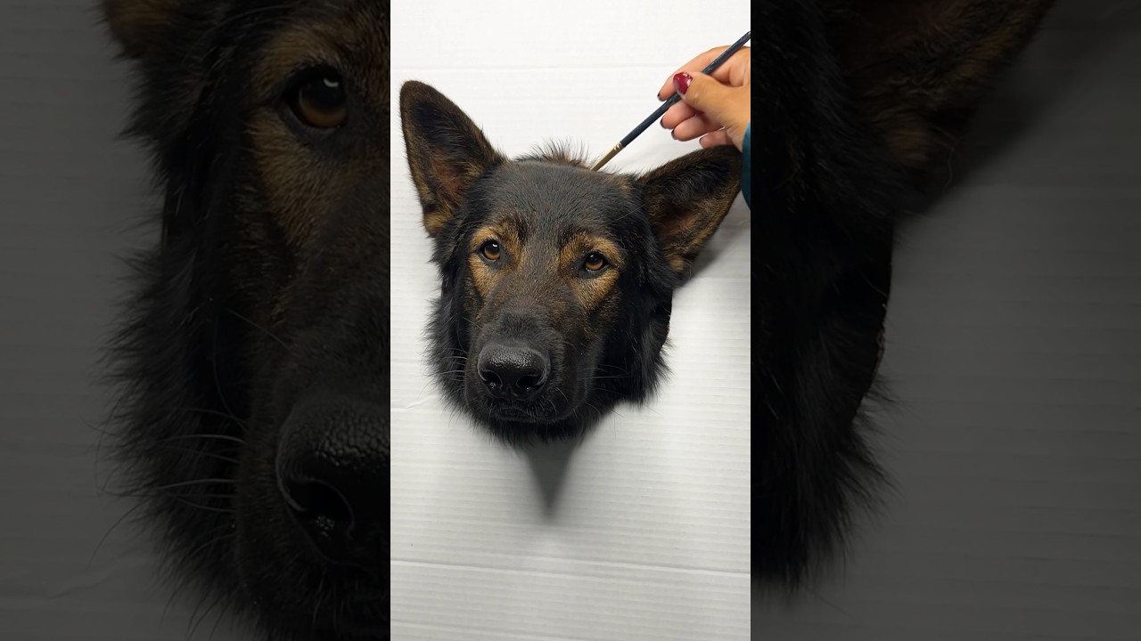 How to paint a realistic dog