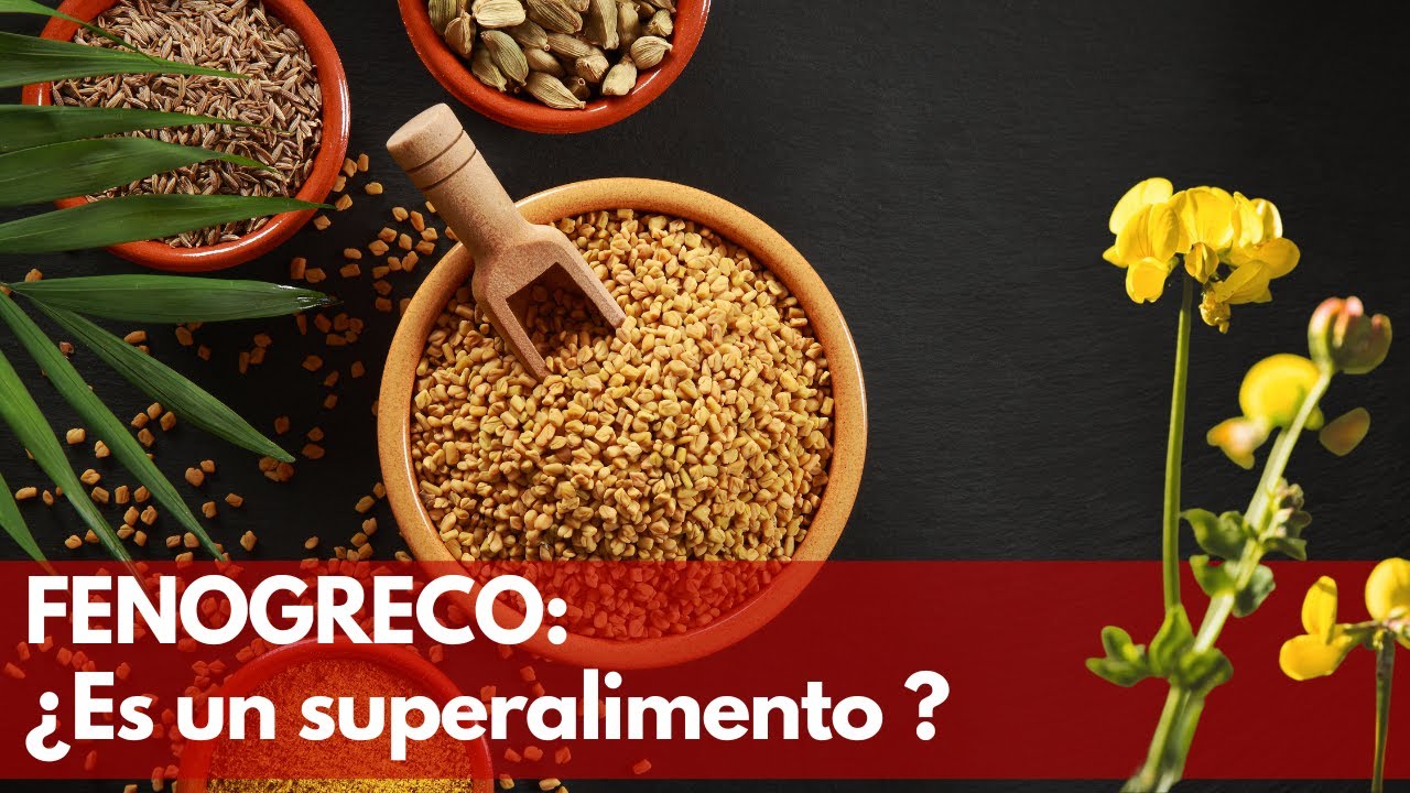FENOGRECO: Qué es, Para qué sirve, Propiedades | Terránea