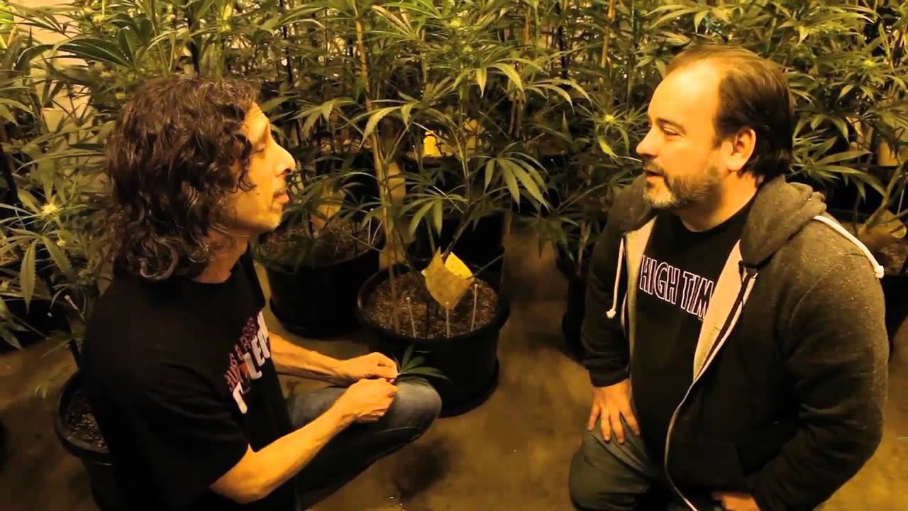 HIGH TIMES Grow Tips -- Pest Control