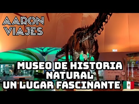 MUSEO DE HISTORIA NATURAL I UN LUGAR FASCINATE EN LA CIUDAD DE MEXICO