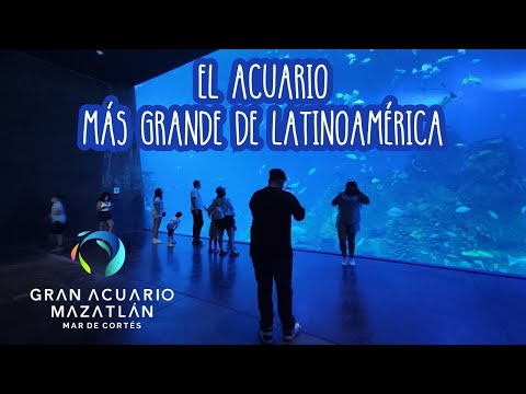 Acuario de Mazatlán • El acuario más grande de Latinoamérica #acuario #mazatlan