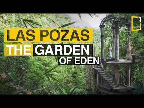 Las Pozas, Xilitla | The surrealist paradise of Edward James