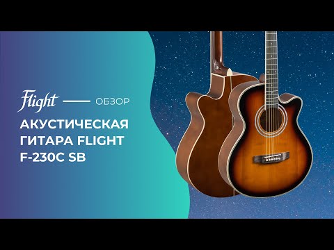 Обзор акустической гитары FLIGHT F-230C SB