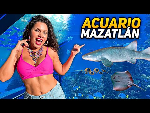 Acuario de MAZATLÁN , El más grande de México | 4K