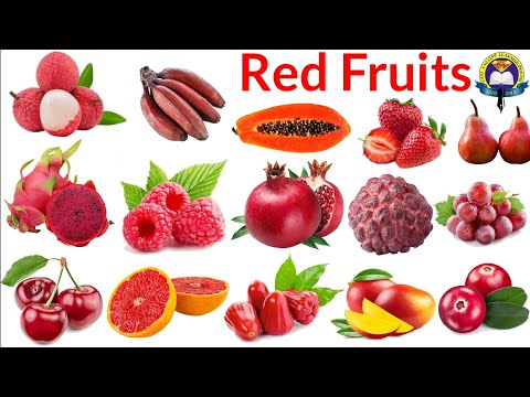 Red Fruits Name | Red Fruits Name In English With Pictures | Easy English Learning Process