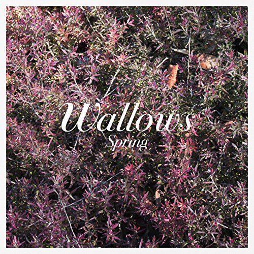 Wallows: Reigning Kings Of Indie Pop? 4 Spring Ep