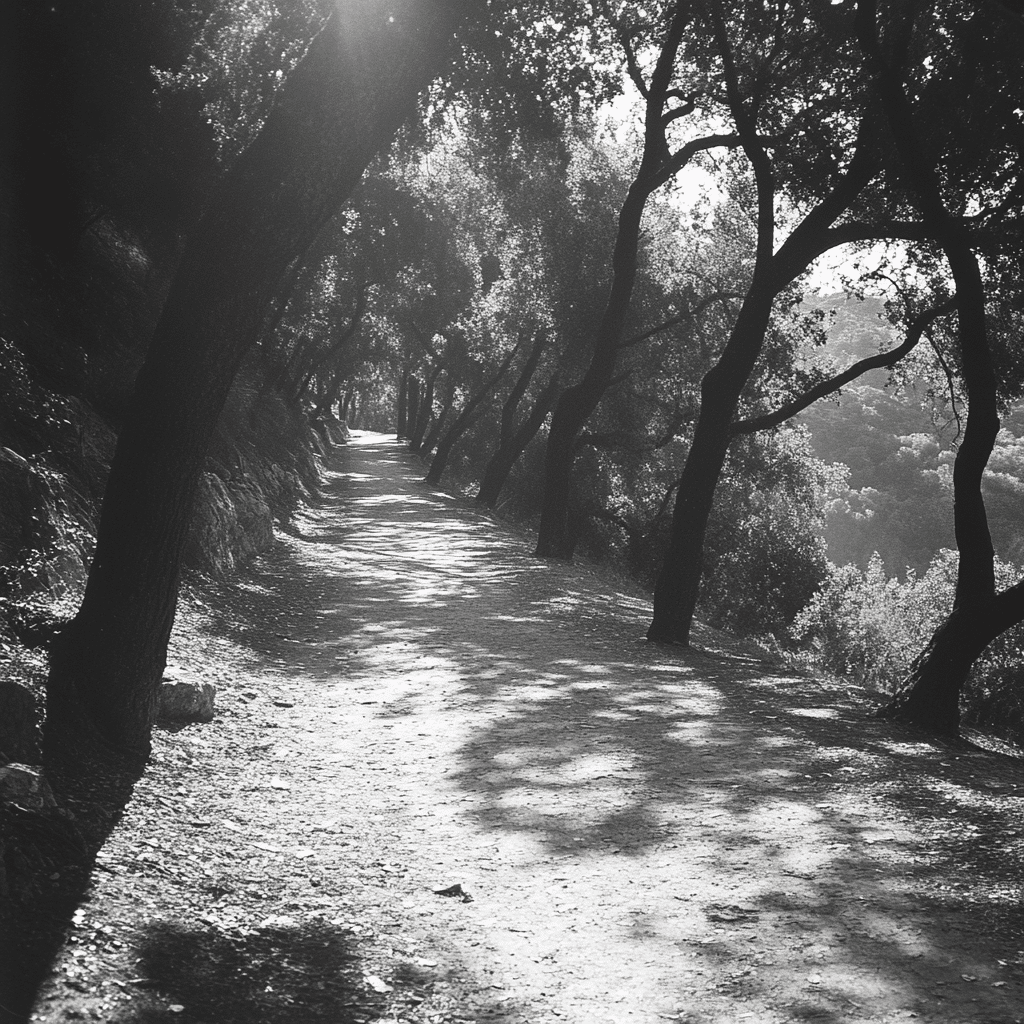 Tilden Regional Park Is A Hidden Gem For Nature Lovers 3 Image 35149